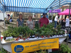 May plant stall 2017